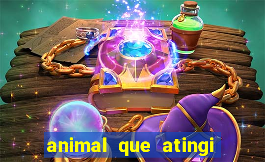 animal que atingi 230 decibeis